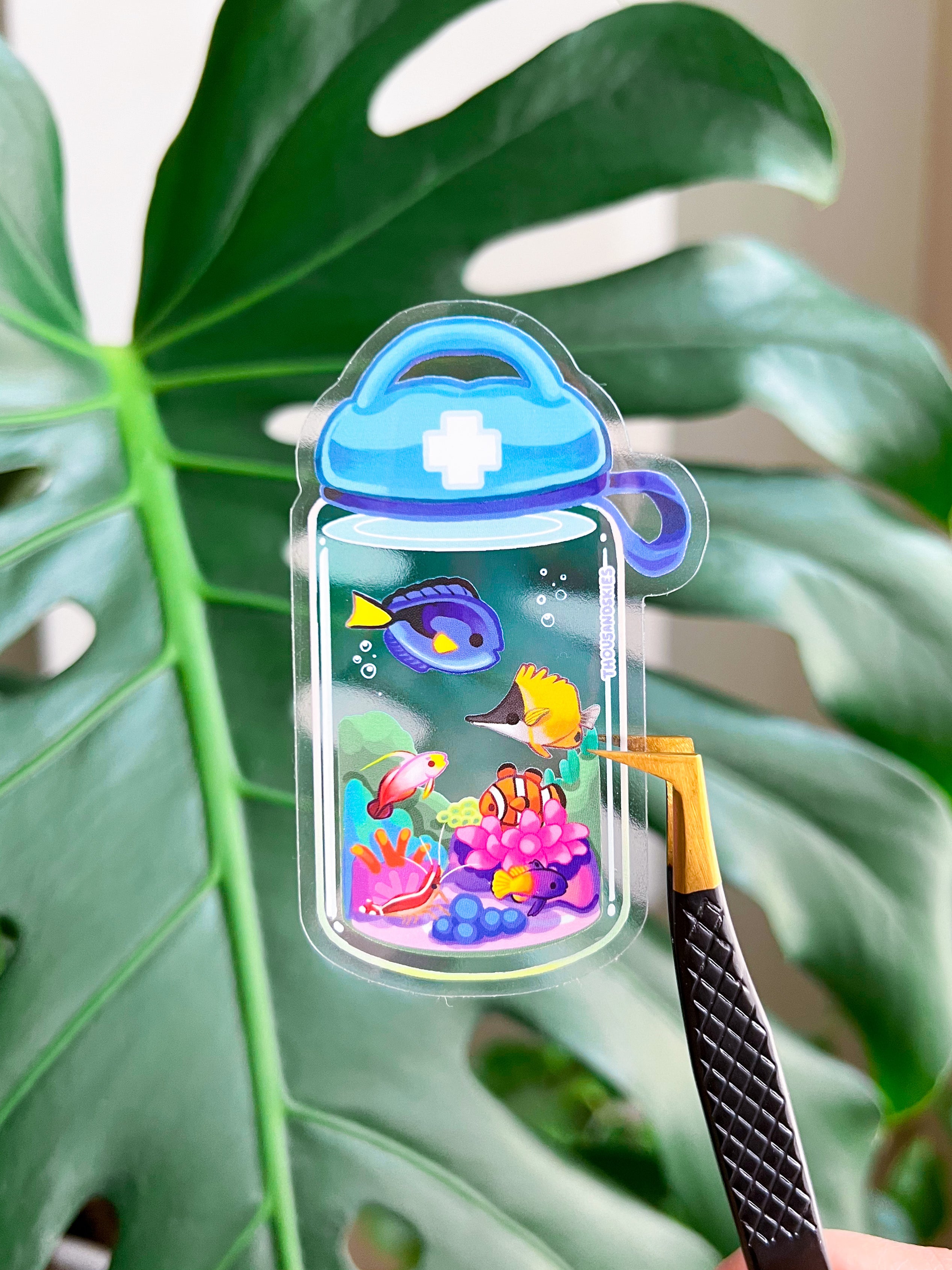 Vinyl Sticker (Transparent) First Coral Reef Kit – thousandskies