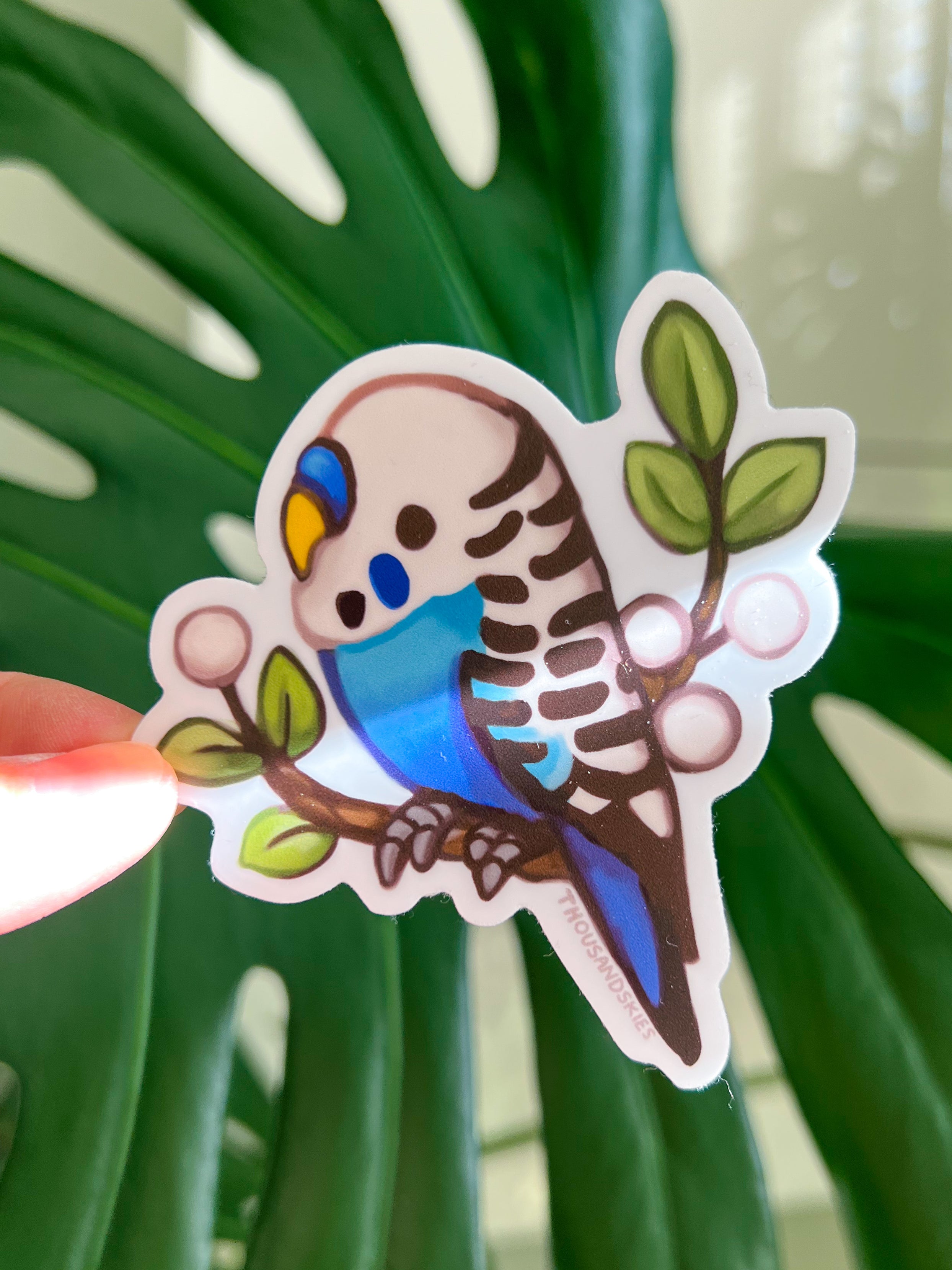 Vinyl Sticker Blue White Budgie Parakeet – thousandskies