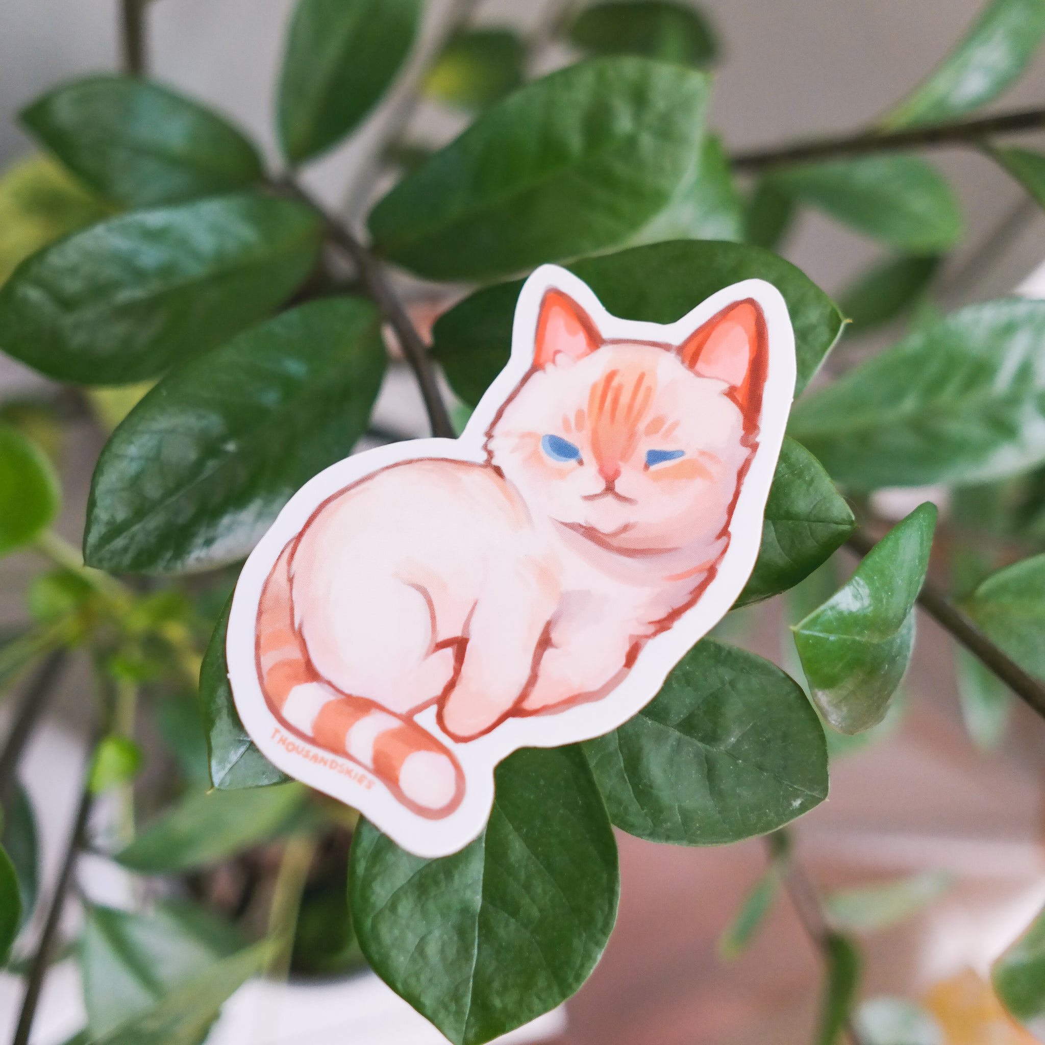 Vinyl Sticker Flame Point Siamese Cat – thousandskies