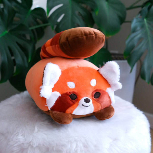 Super Fluffy Red Panda Regular