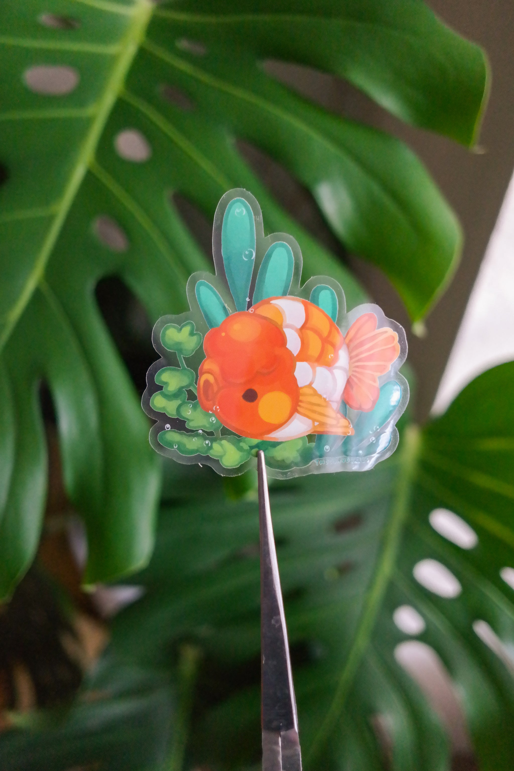 Vinyl Sticker (Transparent) Fancy Goldfish - Golden Ranchu – thousandskies